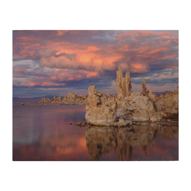 Tufa Formations on Mono Lake Wood Wall Art (Front)