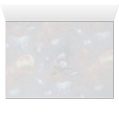 Tuffy McDuff is Out Of This World Cards (Inside Horizontal (Bottom))