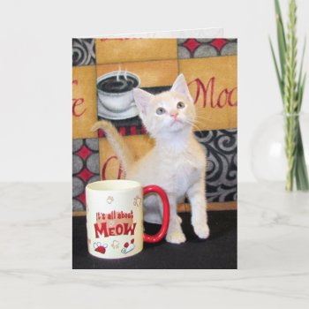 Tuffy McDuff's Mocha Dream Cat Birthday Card