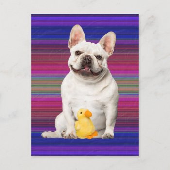 "tuffy Mctuggs" Postcard by TabbyHallDesigns at Zazzle