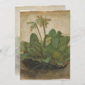 Tuft of Cowslips by Albrecht Durer (Front/Back)
