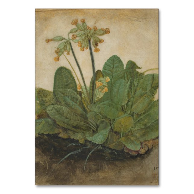 Tuft of Cowslips by Albrecht Durer Table Number (Front)