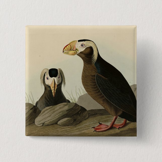 Tufted Auk (Puffin) - Audubon's Birds of America Button (Front)