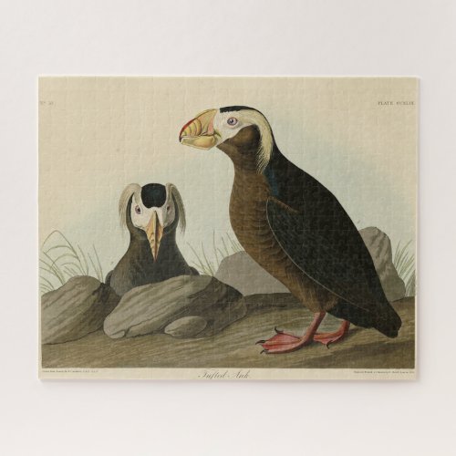 Tufted Auk Puffin _ Audubons Birds of America Jigsaw Puzzle