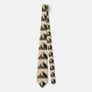 Tufted Auk (Puffin) - Audubon's Birds of America Neck Tie