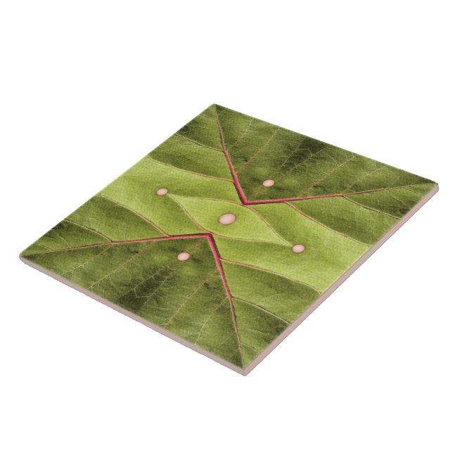 Tufted Olive Tapestry Ceramic Tile (Side)