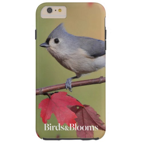 Tufted Titmice Tough iPhone 6 Plus Case