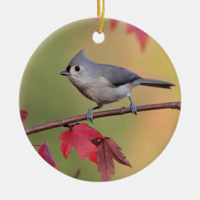 Tufted Titmice Ceramic Ornament (Front)