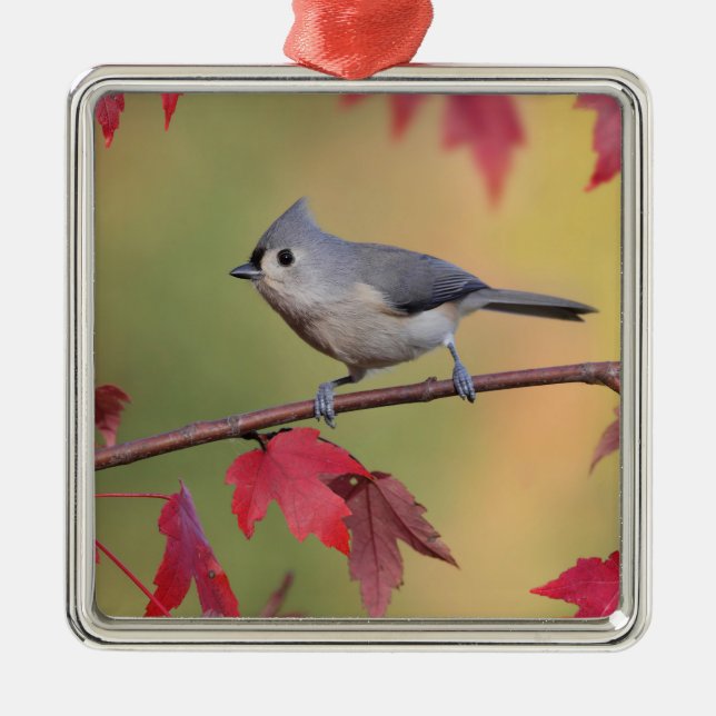 Tufted Titmice Metal Ornament (Front)