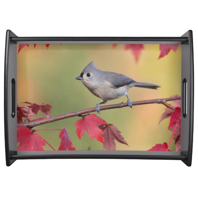 Tufted Titmice Serving Tray (Front)