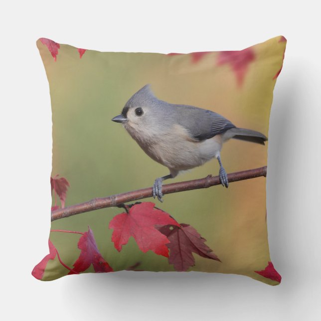 Tufted Titmice Throw Pillow (Front)