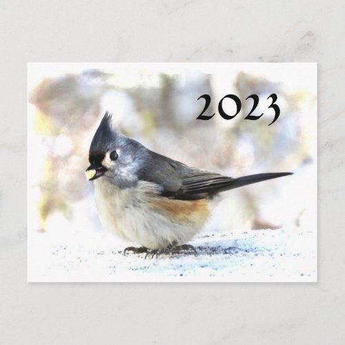 Tufted Titmouse  2023 Calendar on Back Postcard