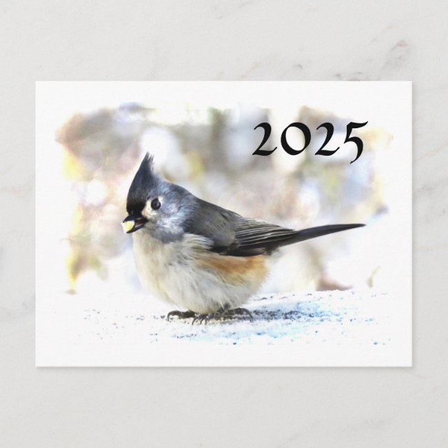 Tufted Titmouse 2025 Calendar on Back Postcard