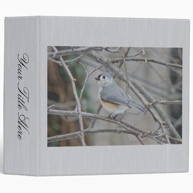 Tufted Titmouse (Baeolophus bicolor) Items Binder (Front/Spine)