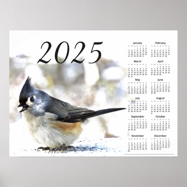 Tufted Titmouse Bird 2025 Animal Calendar Poster