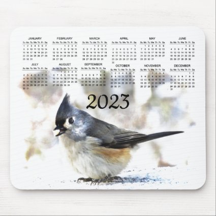 Tufted Titmouse Bird Animal  2023 Nature Calendar 