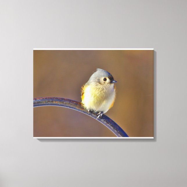 Tufted Titmouse Canvas Print (Front)