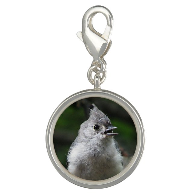 Tufted Titmouse Charm (Front)