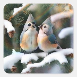 Tufted Titmouse Couple Square Sticker