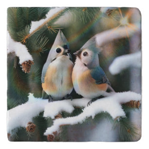Tufted Titmouse Couple Trivet