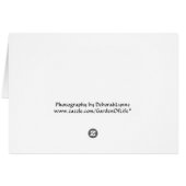 Tufted Titmouse Fledgling Baby Bird Cards (Back Horizontal)