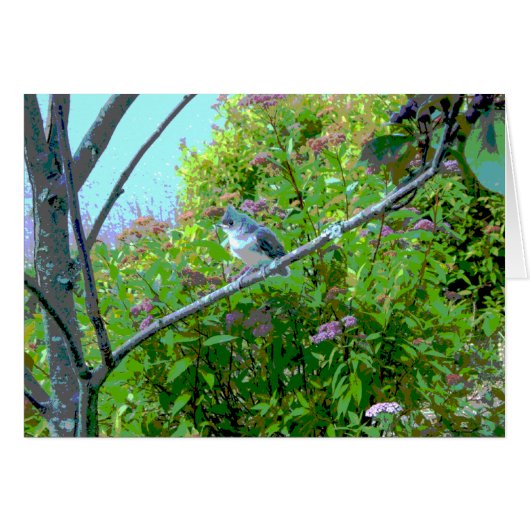 Tufted Titmouse Fledgling Baby Bird Cards (Front Horizontal)