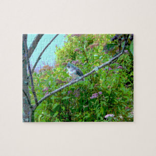 Tufted Titmouse Fledgling Baby Bird Jigsaw Puzzle