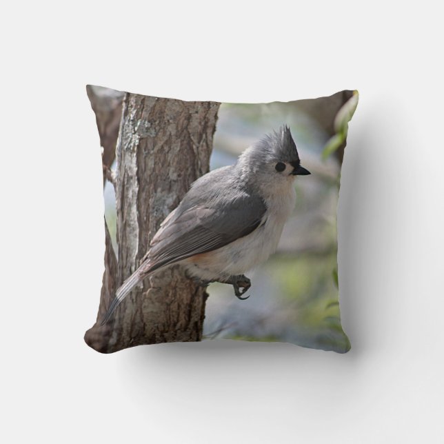 Tufted titmouse in spring throw pillow (Front)