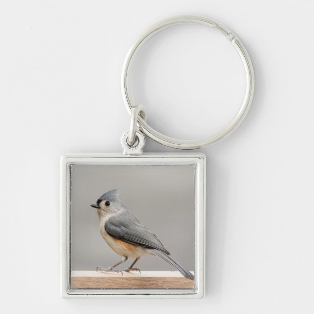 Tufted Titmouse Keychain (Front)