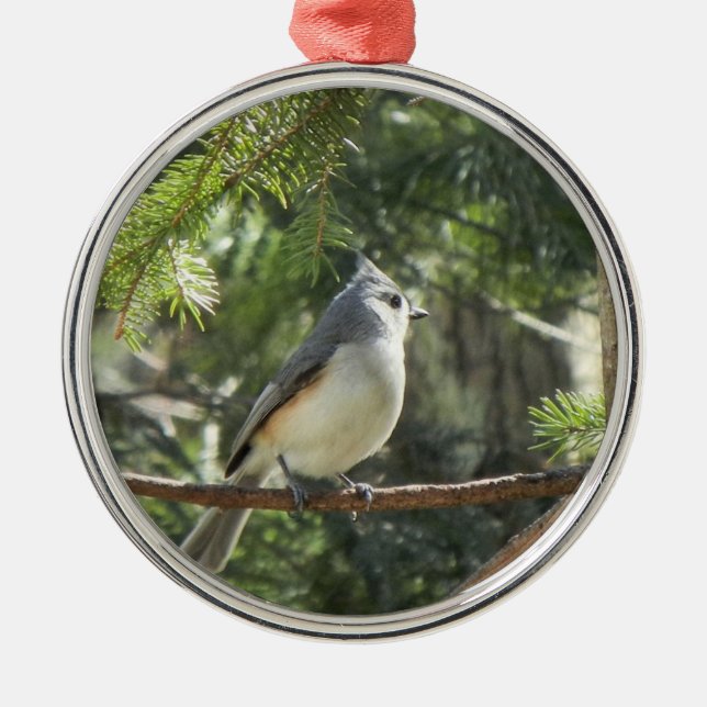 Tufted Titmouse Metal Ornament (Front)