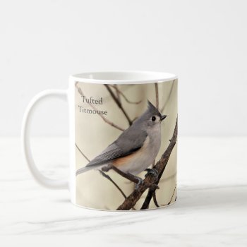 Tufted Titmouse Mug By Birdingcollectibles by BirdingCollectibles at Zazzle