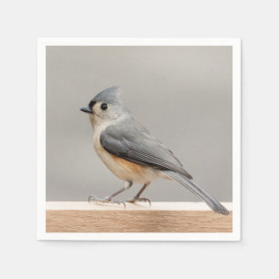Tufted Titmouse Napkins