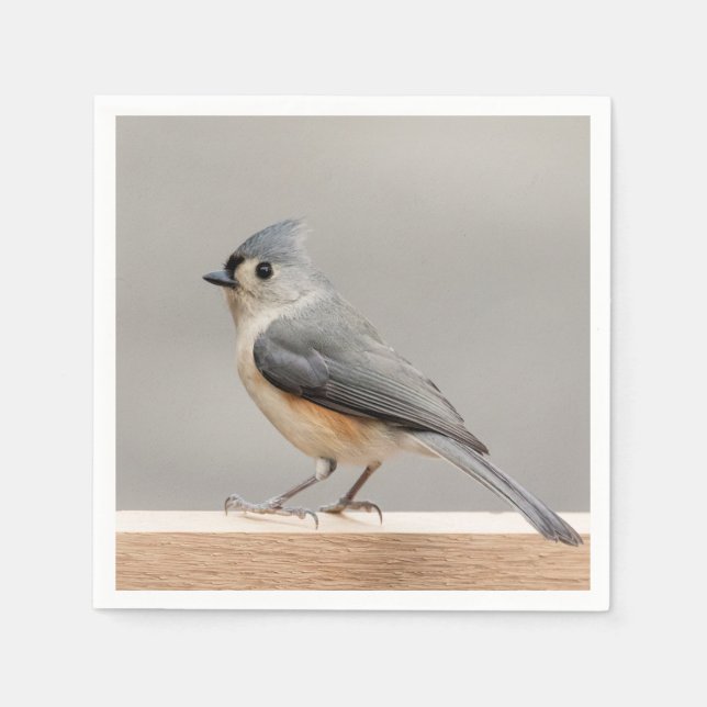 Tufted Titmouse Napkins (Front)