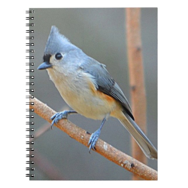 Tufted Titmouse Notebook (Front)