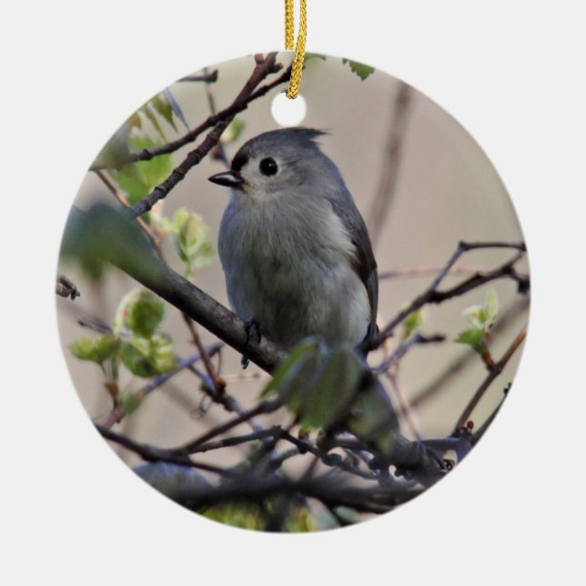 Tufted Titmouse Ornament (Front)