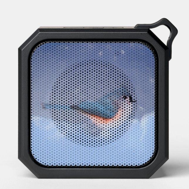 Tufted Titmouse Painting - Original Wild Bird Art Bluetooth Speaker (Front)
