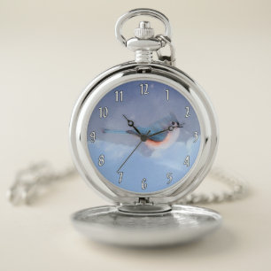 Tufted Titmouse Painting - Original Wild Bird Art Pocket Watch