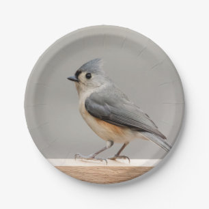 Tufted Titmouse Paper Plates
