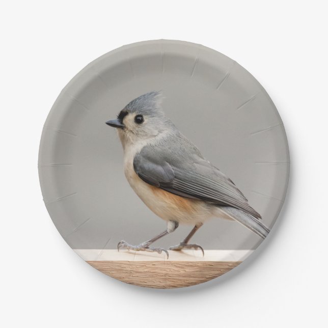 Tufted Titmouse Paper Plates (Front)