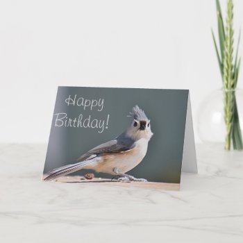 Tufted Titmouse Photo Card by backyardwonders at Zazzle