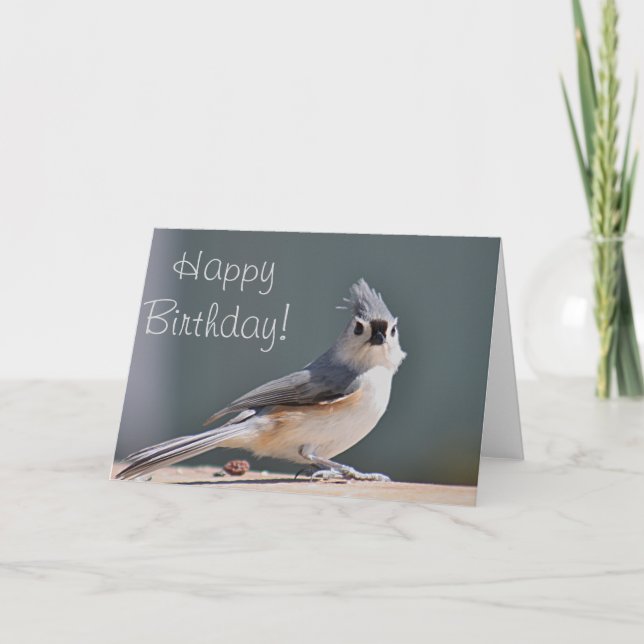 Tufted titmouse photo card (Front)