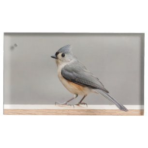 Tufted Titmouse Place Card Holder