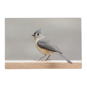 Tufted Titmouse Placemat