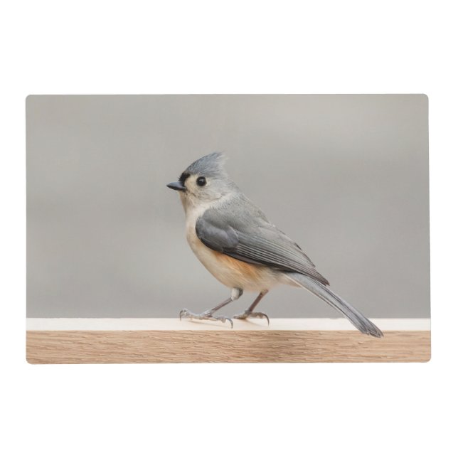 Tufted Titmouse Placemat (Front)
