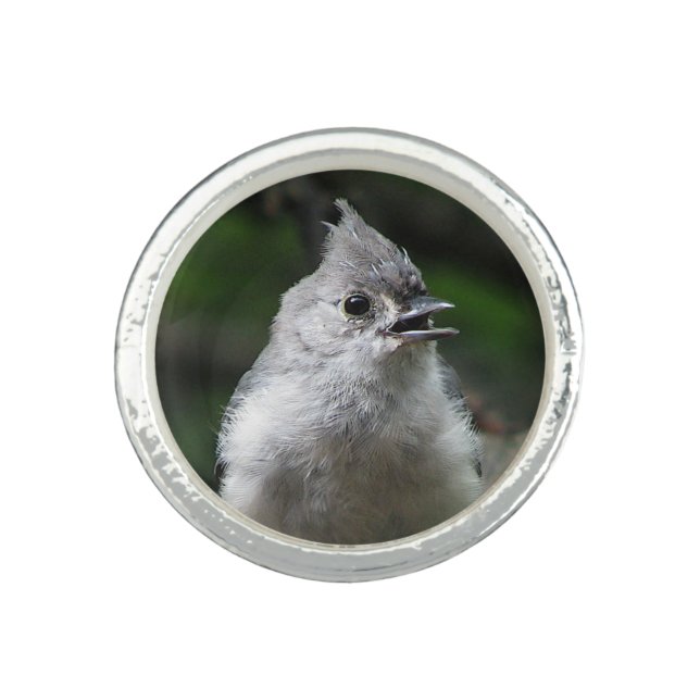 Tufted Titmouse Ring (Front)