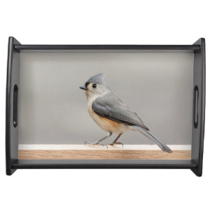 Tufted Titmouse Serving Tray