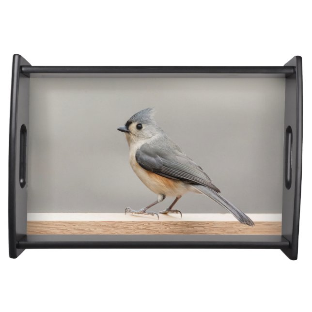 Tufted Titmouse Serving Tray (Front)