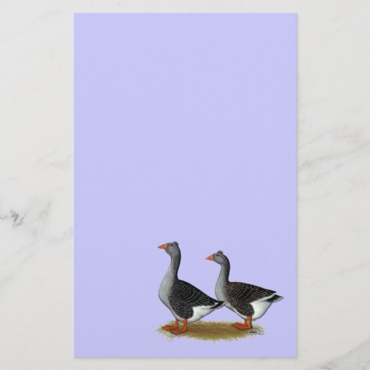Tufted Toulouse Geese (Front)