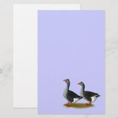 Tufted Toulouse Geese (Front/Back)