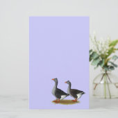 Tufted Toulouse Geese (Standing Front)